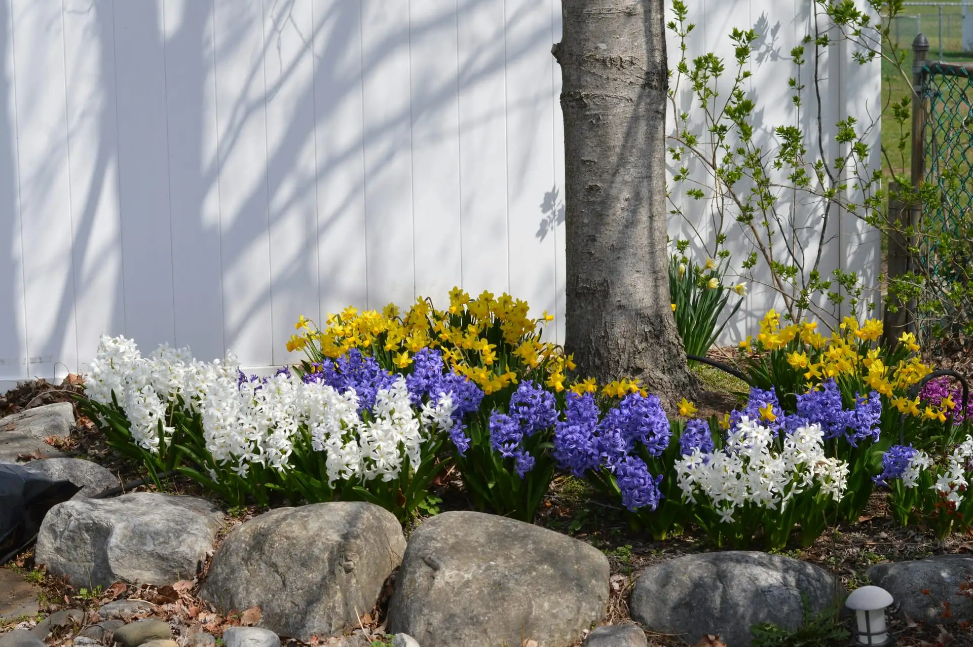 Mulch & Top Dress Soil