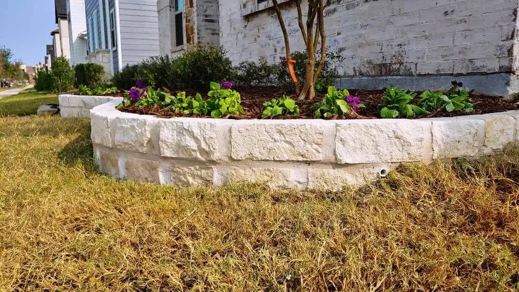 Shrub & Bed Restoration