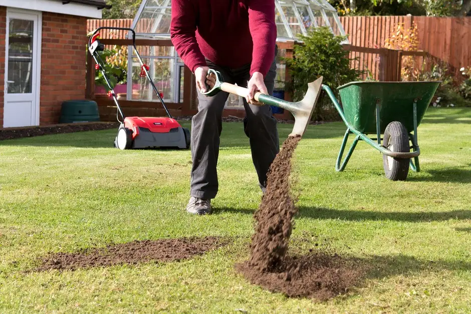 Sod Installation