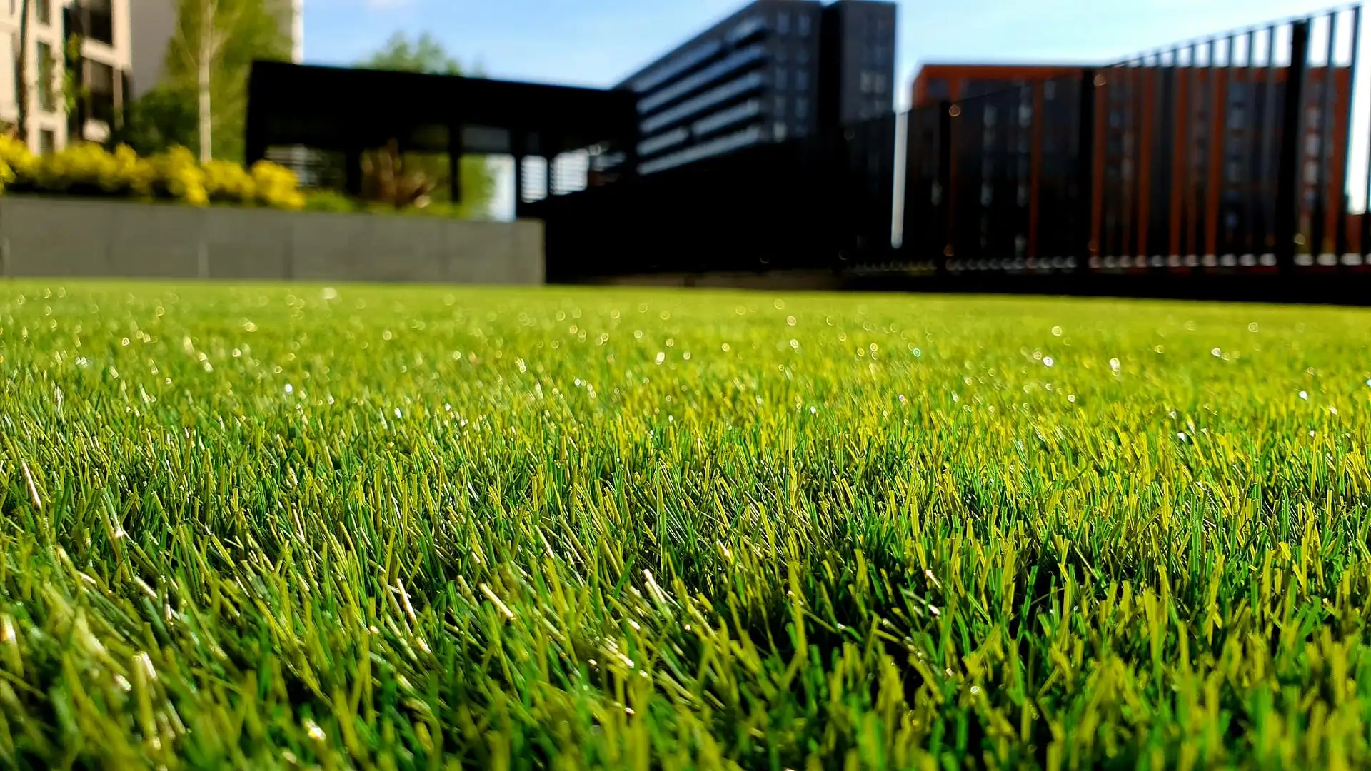 Lawn Mowing & Deep Edging