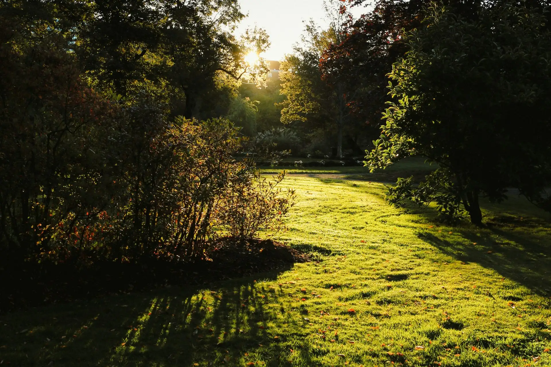 Recurring Lawn Maintenance